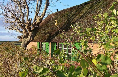 Hillgroven Casa | Casa con techo de paja Kehl