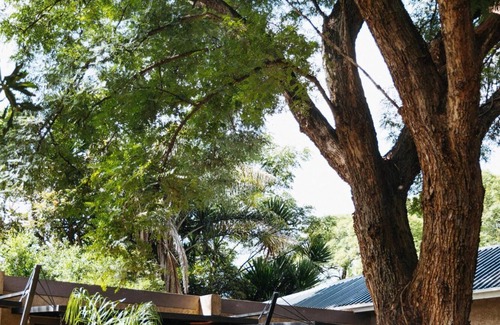 Harare Apartamento | The 5 Sandalwood Lodge is Situated in Mount Pleasant - 2019