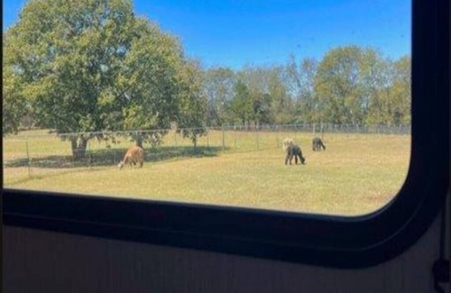 Gallatin Casa | The Alpaca Campa - Minutes to Nashville
