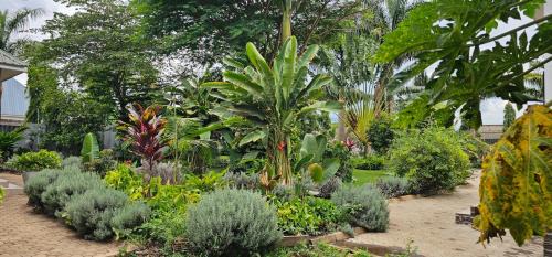 Arusha Apartamento | The Angelique Oasis