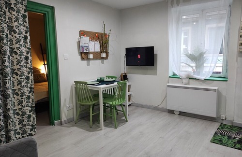L'Arbresle Apartamento | The apartment & green T2 🐈🐕ok. 5 min in 🚗 la Pérollière training center
