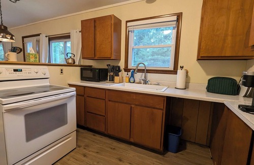 Herron Cabina | The Atwood Lodge | Secluded Cabin in Curran MI