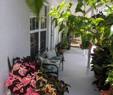 North Andrews Gardens Casa | The Ave House- Private Oasis Retreat W/heated Pool
