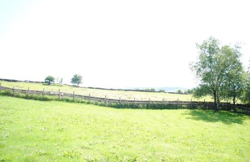 Leek Casa | The Barn at Brambles Farm