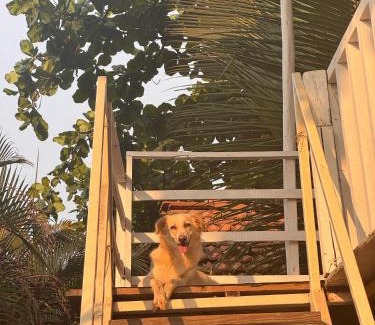 Patnem Complejo | The beach resort goa