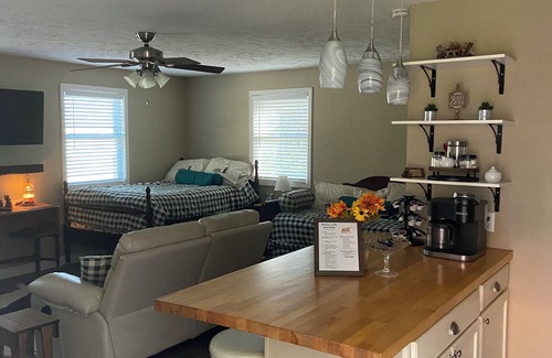 Elkins Cabaña | The Bear BnBee-Quaint Cottage in Charming Elkins