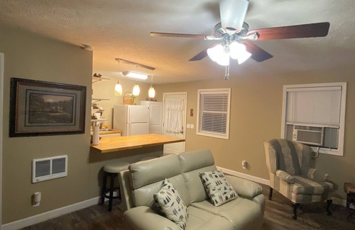 Elkins Cabaña | The Bear BnBee-Quaint Cottage in Charming Elkins