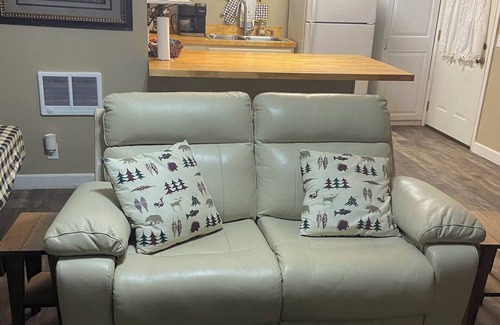 Elkins Cabaña | The Bear BnBee-Quaint Cottage in Charming Elkins