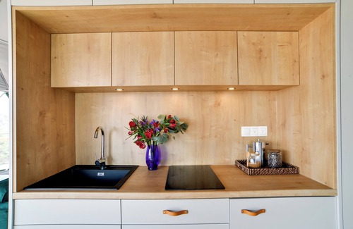 Franklin Apartamento | ‘The Bear Dome’ w/ Barrel Hot Tub in Franklin!