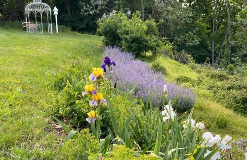 Harpers Ferry Casa | The Bears Den at La Soledad