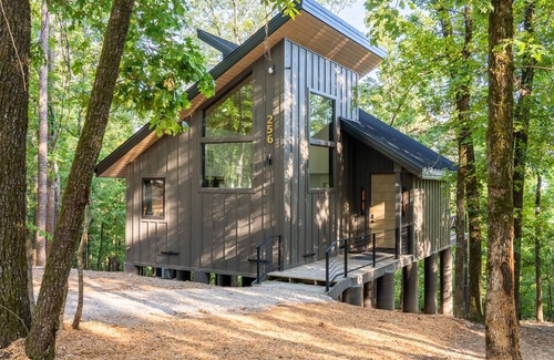 Hot Springs Cabina | The Beaver Cabin- In the Trees Resort