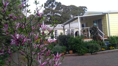 Bundanoon Casa | The Best Exotic Magnolia Cottage