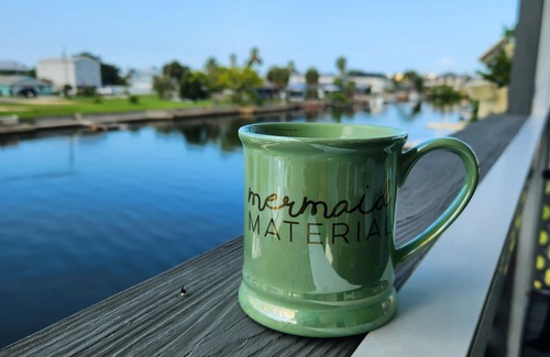 Spring Hill Casa | The Best Family Getaway! - Kayaks & Game Room Fun! Minutes To Weeki Wachee