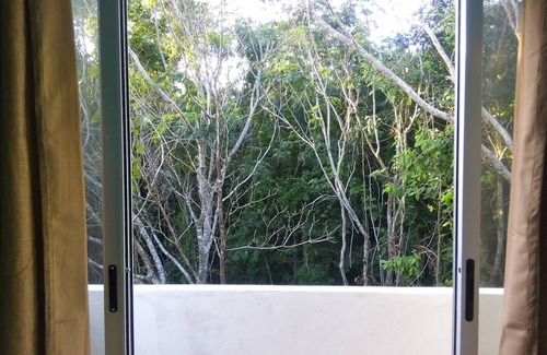Akumal Casa | THE BIRD'S NEST - Akumal Jungle Habitat