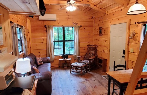 Peaks Cabina | The Black Bear Lodge