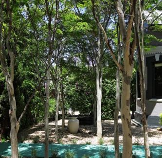Robertson Casa | The Black House