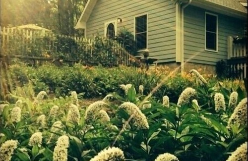Trenton Cabaña | The Blue Cottage Rental - The Perfect Lookout Mountain Getaway