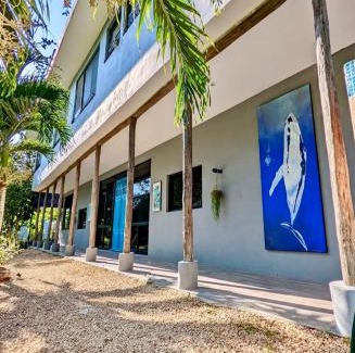 Chichen Itza - Valladolid Hotel | The Blue Eco Lodge