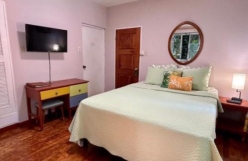 Montego Bay Cama Y Desayuno | The Blue Orchid B&B