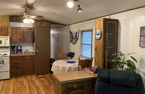 Harlingen Casa | The Blue Palm, with Pool!