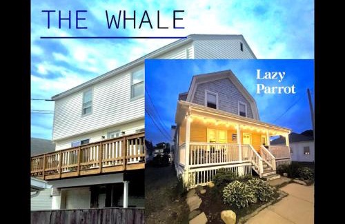 Hampton Casa | The Blue Parrot At Hampton Beach