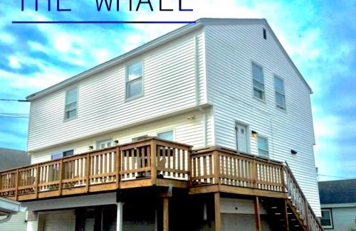 Hampton Casa | The Blue Parrot At Hampton Beach