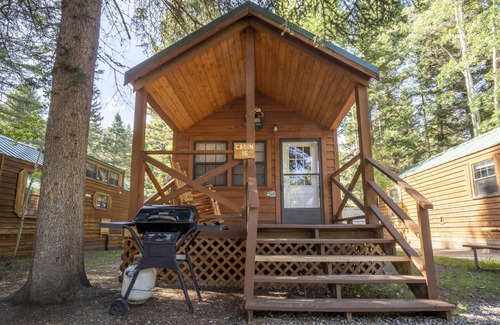 Bayfield Apartamento | The Blue Spruce Cabin #16