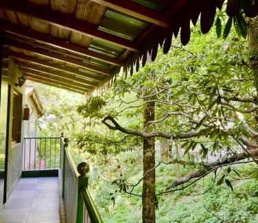 Nainital Complejo | The Boho Heritage Woods