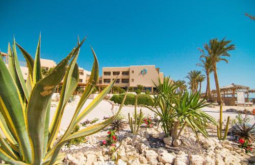 Soma Bay Complejo | The Breakers Diving and Surfing Lodge Soma Bay
