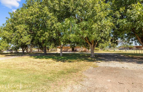 Abilene Casa | The Buffalo Gap Bungalow-Pet-Friendly! Cozy remodeled home surrounded by trees.
