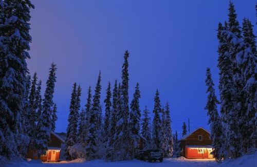 Fairbanks Casa | The Cabin in the Woods 1 森林小屋 1