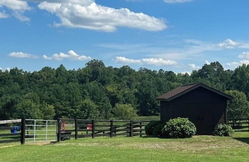 Berkeley Apartamento | The Camper at The Pines Horse Farm