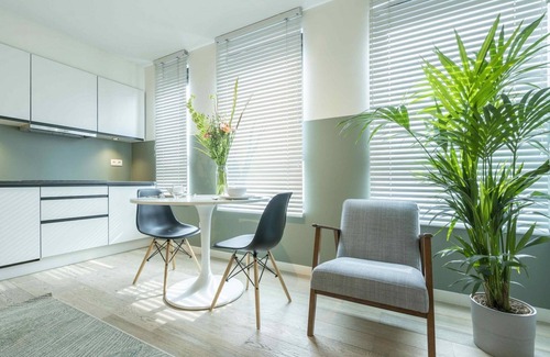 Antwerp Apartamento | The Card Room Green Studio