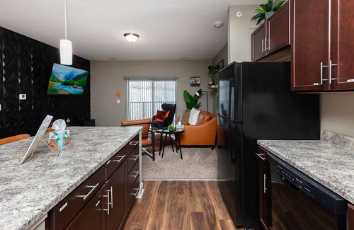 West Des Moines Apartamento | The Carmel/Bold/Massage /Chair Spacious / 3D Wall / Pool / Gym / Tanning Bed