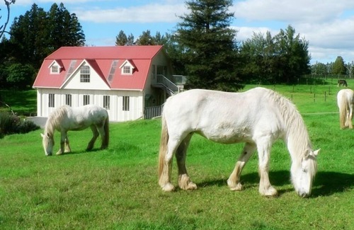 Kerikeri Casa | The Carriage House, Bay of Islands