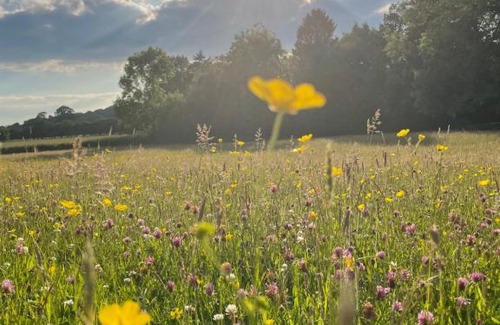 Ashford Bowdler Cama Y Desayuno | The Cedars Ludlow
