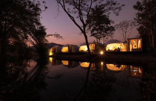 Sarika Complejo | The Chamuang Forest