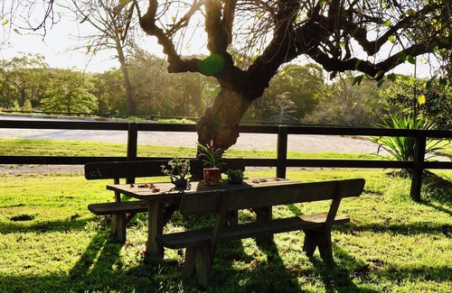 Somersby Cabina | The Charming Studio Escape to Somersby – A Peaceful, Pet-Friendly Retreat