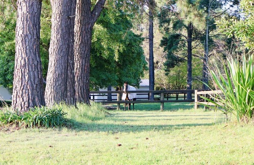 Somersby Cabina | The Charming Studio Escape to Somersby – A Peaceful, Pet-Friendly Retreat