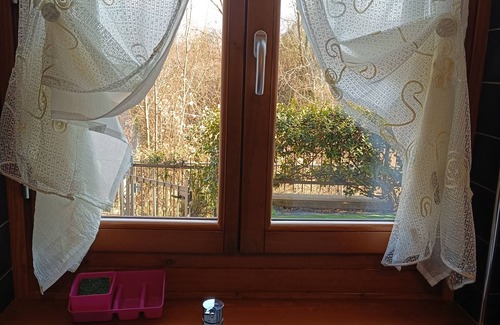 Sovere Apartamento | The Cherry Apartment