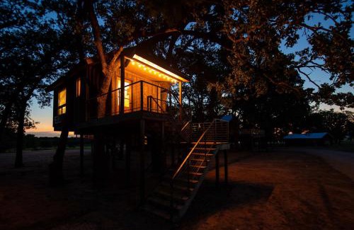 Elm Mott Otro | The Chickadee Treehouse 15MIN to Magnolia Baylor
