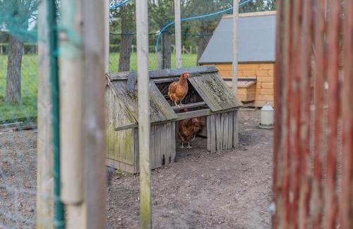 Willesborough Casa | The Coach House