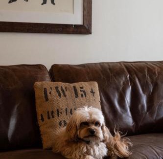 Whitstable Casa | The Cook's Cottage