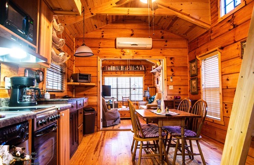 Hiawassee Casa | The Coop -Fire Pit
