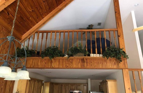 Branford Casa | The Coppertop Inn en The Ichetucknee River Las mascotas son bienvenidas