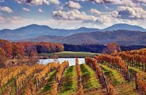 Afton Casa | The Cottage @ Afton Mountain- Close to Wineries!
