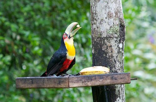 Paraty Casa | The Cottage at Sitio Namaste