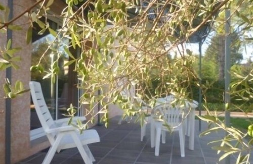 Ales Casa | la casa de campo en la sombra de los olivos