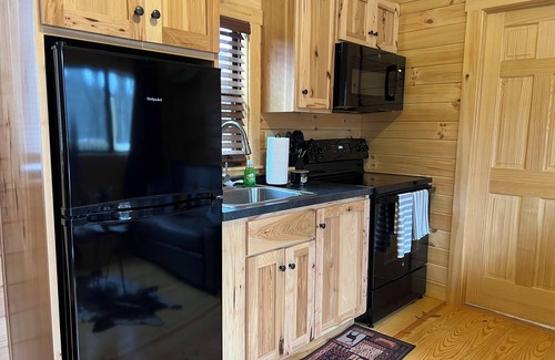 Mace Cabina | The Cozy Cabin: Mountain Escape at Snowshoe, WV - Brand New!