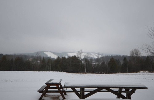 Boyne Falls Cabina | The Cozy Cabin